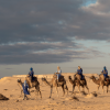 Camel Ride at Le Ranch des Dunes, Dakhla